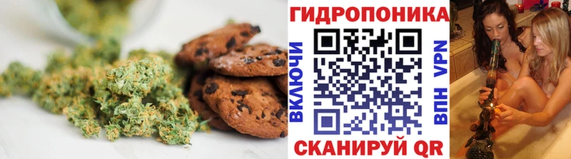 ссылка на мегу ТОР  даркнет официальный сайт  Canna-Cookies марихуана  Южно-Сухокумск 