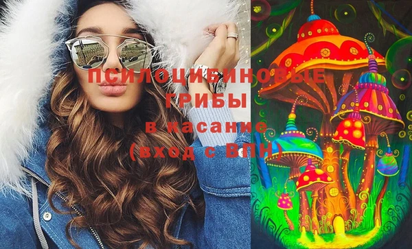 PSILOCYBIN Новокубанск