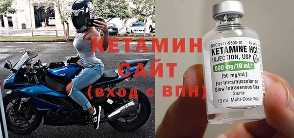 индика Новодвинск